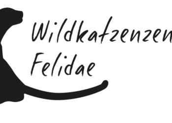 Logo: Wildkatzenzentrum Felidae