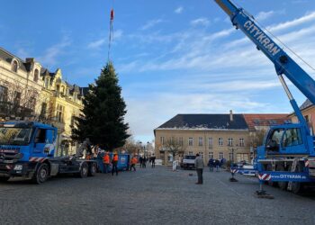 Weihnachtsbaum Bernau