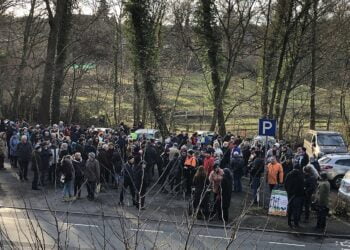 Neujahrswanderung Liepnitzwald 2020