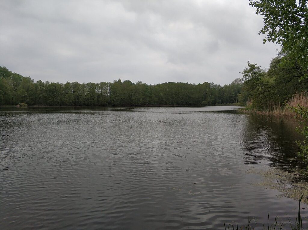 Der Liepnitzsee