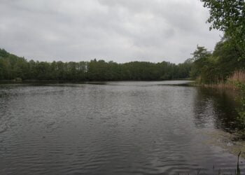 Der Liepnitzsee