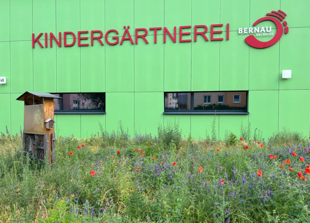 Fürsorge Für Das Insektenhotel Der Kita Kindergärtnerei | Aktuelle ...